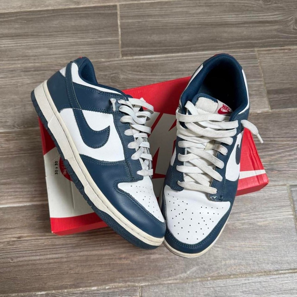 Blue Nike Dunk Low retro sneakers size 9 men's